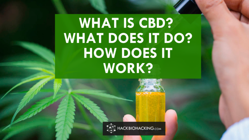 What Is CBD? What Does It Do? How Does It Work? - Hack Biohacking